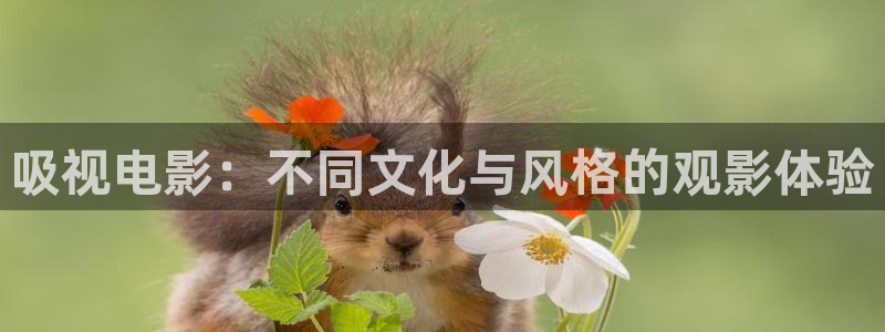 红桃在线观看电影：吸视电影：不同文化与风格的观影体验