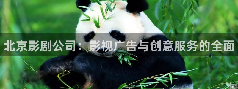 蜜桃免费影院cc红桃影院