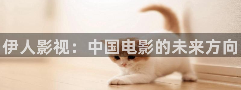 红桃影院网：伊人影视：中国电影的未来方向