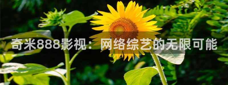 电影在线观看红桃：奇米888影视：网络综艺的无限可能
