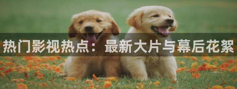红桃影院免
