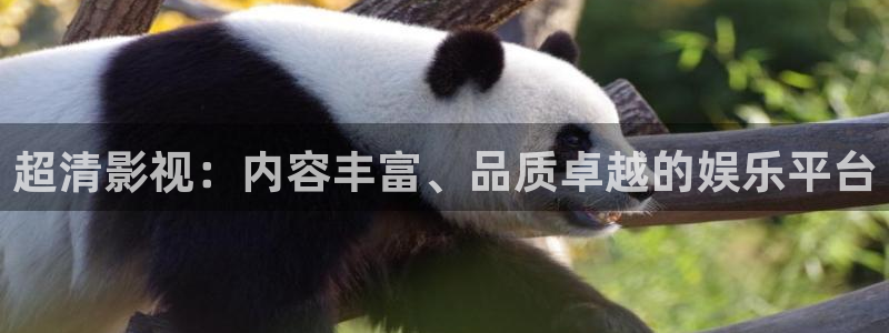 红桃网站红桃影院