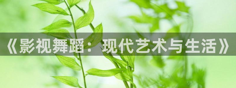 红桃影院电视剧电影免费观看