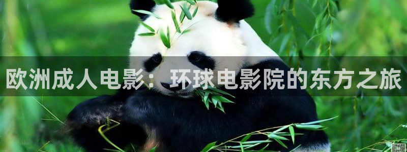 红桃影视在线观看入口：欧洲成人电影：环球电影院的东方之旅