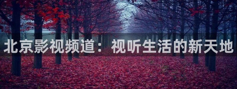 红桃网站在线观看：北京影视频道：视听生活的新天地