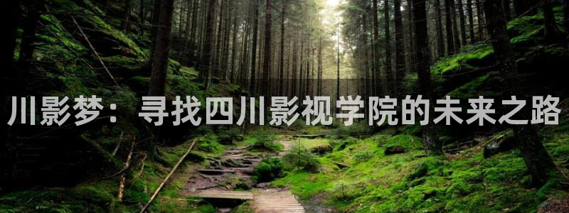 红桃影视免费看：川影梦：寻找四川影视学院的未来之路