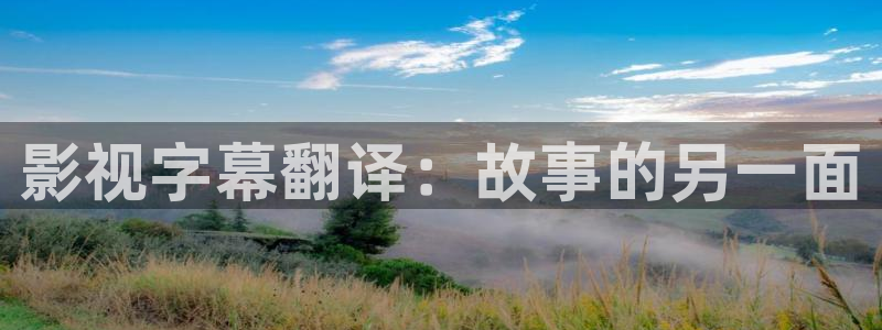 红桃电影在线观看：影视字幕翻译：故事的另一面
