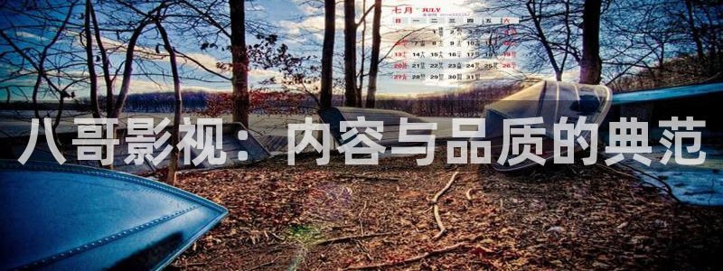 红桃影视在线入口：八哥影视：内容与品质的典范